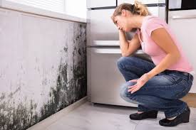 Best Forensic Mold Investigation  in Medina, OH